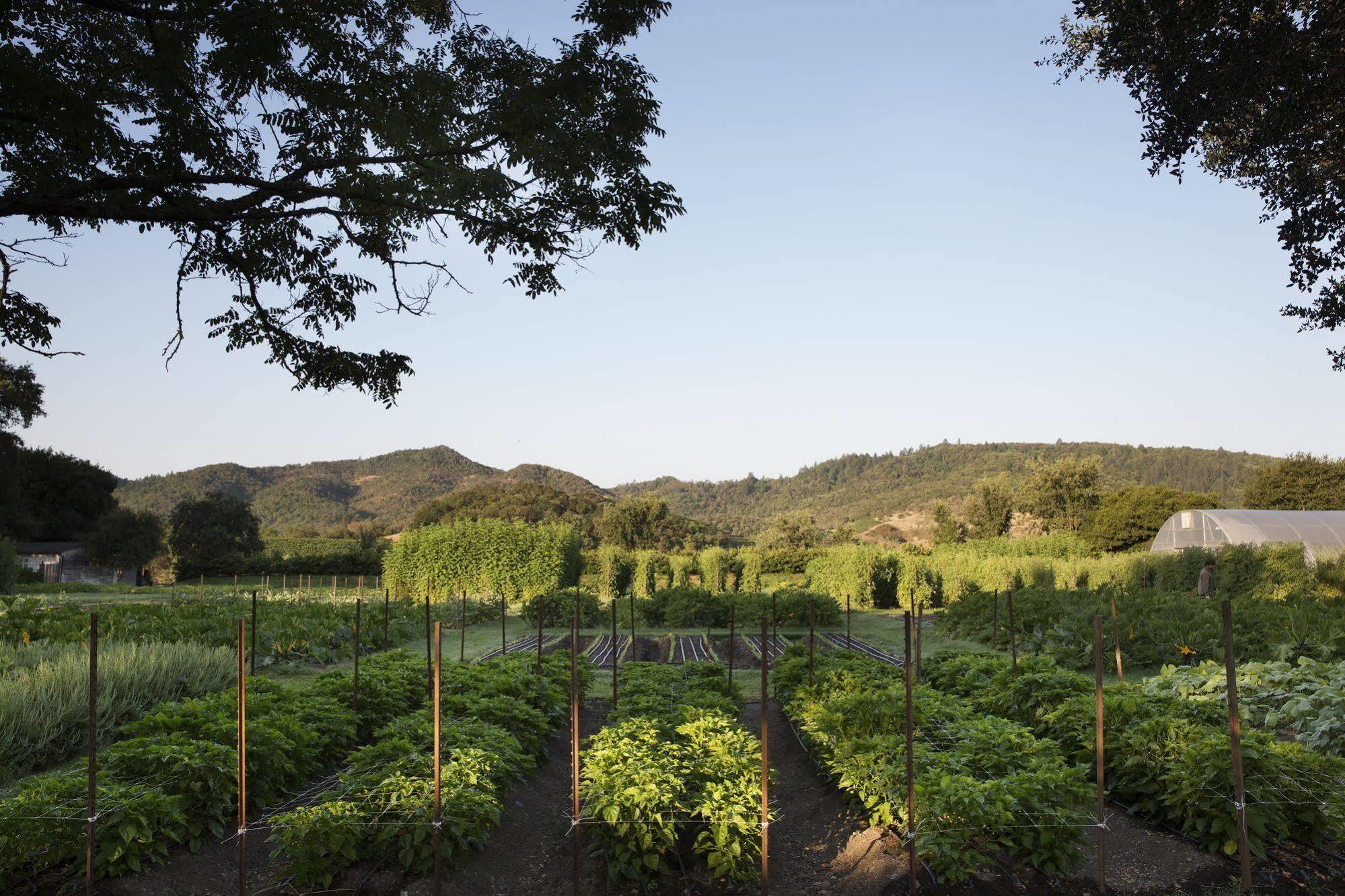 Napa Valley Lodge Yountville Exterior photo